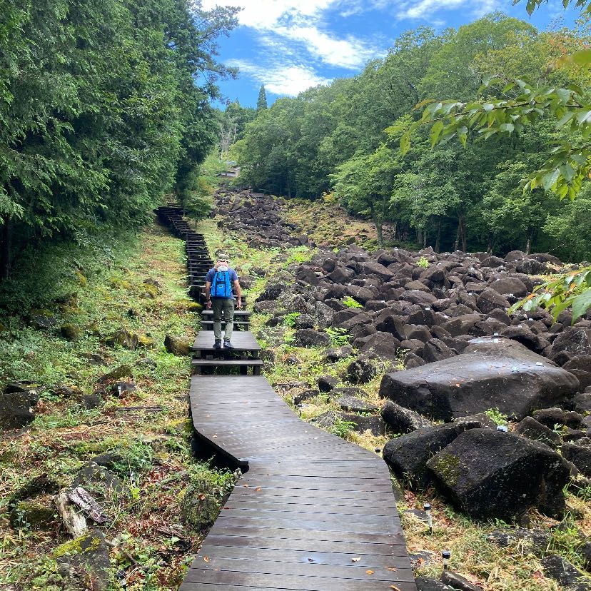 奈良県山添村にある鍋倉渓谷って所に来たよ。この岩の下を小川が流れてるらしく、耳を澄ますと水の音が聞こえるんだって❣️山頂まで登ったら、展望台があって三重県の方まで見えたよ。最後の写真は、道の駅で抹茶ソフトを食べるカワミちゃんだよ。お団子やチョコも入ってておいしかったよ。