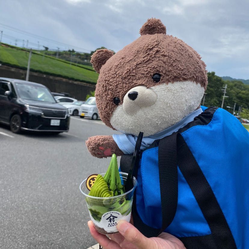 奈良県山添村にある鍋倉渓谷って所に来たよ。この岩の下を小川が流れてるらしく、耳を澄ますと水の音が聞こえるんだって❣️山頂まで登ったら、展望台があって三重県の方まで見えたよ。最後の写真は、道の駅で抹茶ソフトを食べるカワミちゃんだよ。お団子やチョコも入ってておいしかったよ。