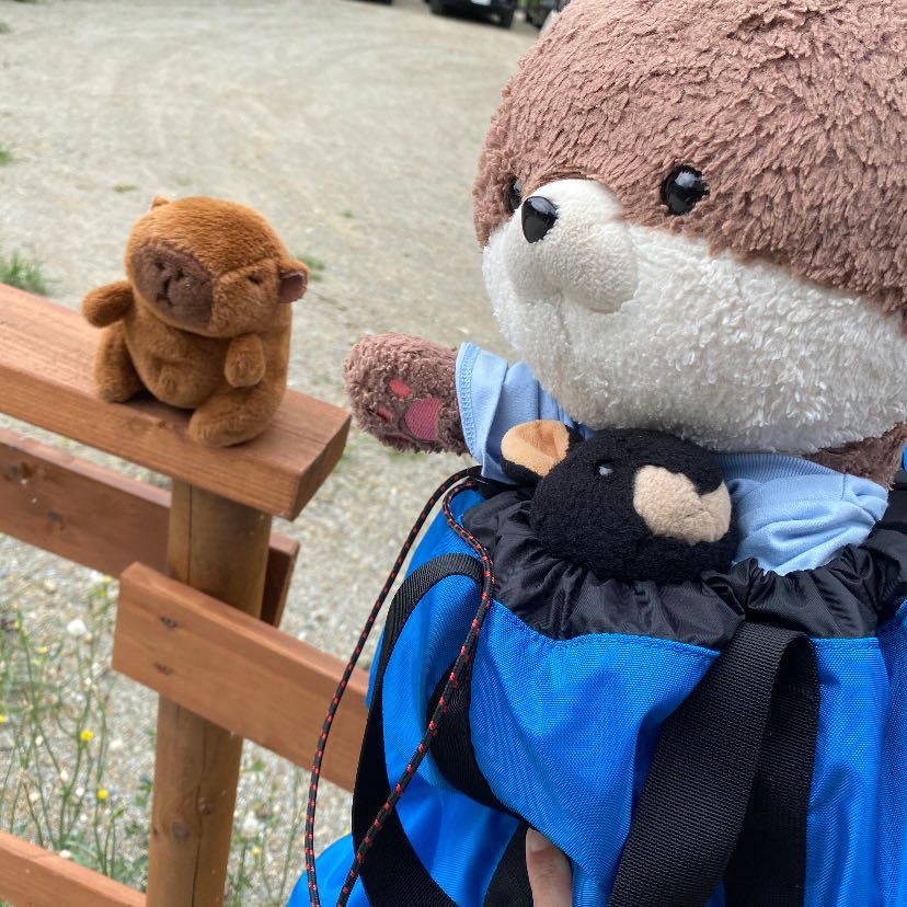 奈良県中央部の下市町の丹生川上神社っていう所に参拝しに来たよ。境内にはお馬さんが２頭いてびっくりしたよ。おとなしいからよかったけど、大きかったよ…。
途中のマーケットみたいな所で食べたご飯がおいしかったよ。駐車場には、忘れられたふわもこがいたんだ…。保護しようか迷ったけど、もしかしたら飼い主さんが戻ってくるかもしれないからそのままにしてきたよ。ちゃんと保護されてるといいな…。