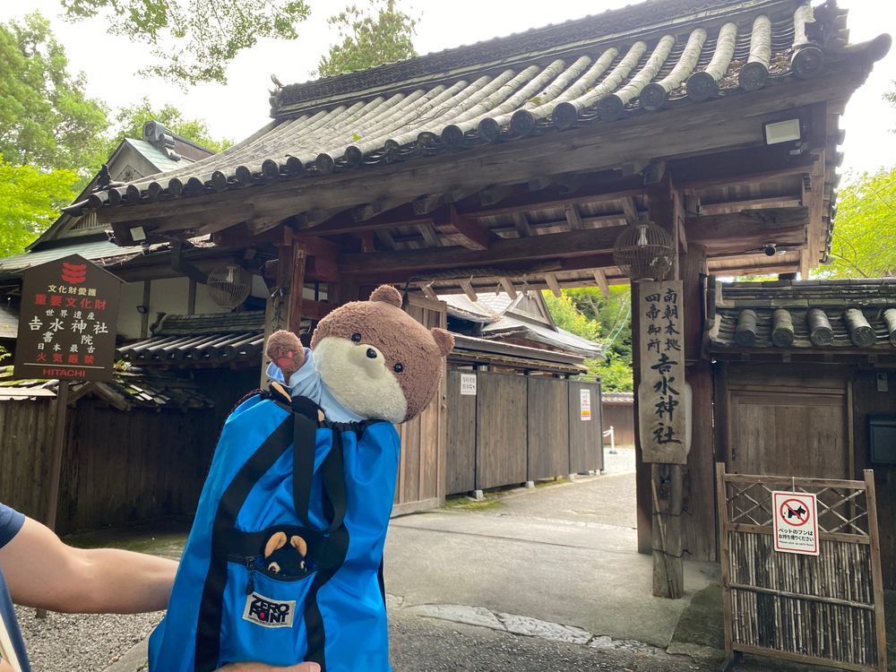 続いて行ったのはこちら！吉野町にある金峯山寺と、後醍醐天皇を祀っている吉水神社だよ。この座敷に後醍醐天皇がお座りになったそうだよ。最後のさすまたはめっちゃ重そうだったよ。さすまたって、ちいかわが持ってるやつかな…
