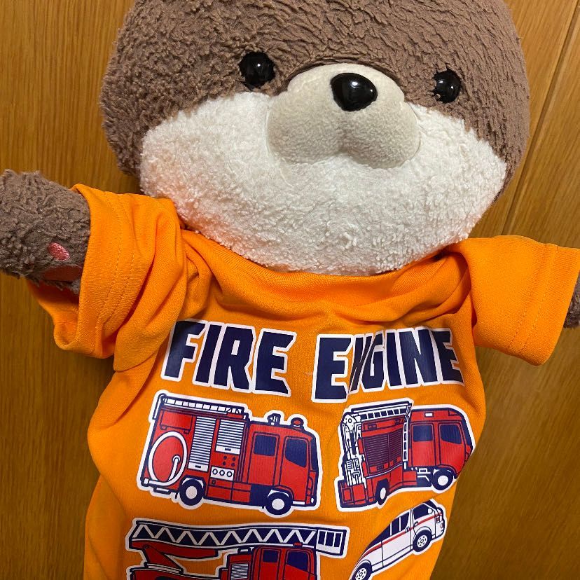 こんばんは、カワミちゃんだよ。おとうさんが新しいTシャツを買ってくれたんだ。サイズ110でぴったりだったよ。明日から9月だから、秋っぽい服に衣替えだよ🍂