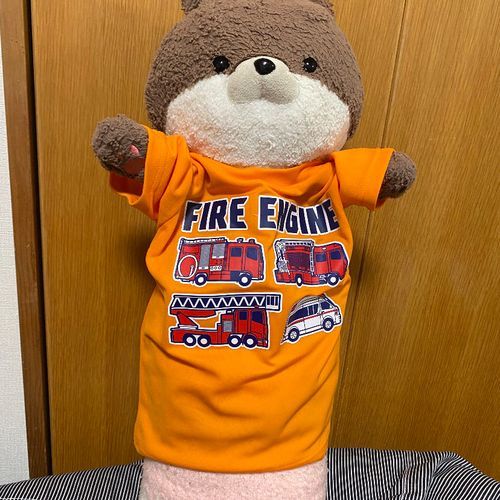 こんばんは、カワミちゃんだよ。おとうさんが新しいTシャツを買ってくれたんだ。サイズ110でぴったりだったよ。明日から9月だから、秋っぽい服に衣替えだよ🍂