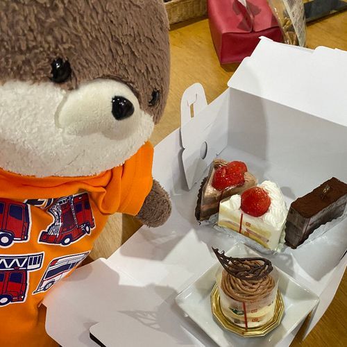 こんばんは、カワミちゃんだよ。今日の夜はまたまた近所のケーキおじさんがケーキを持ってきてくれたよ‼️🍰２枚目以降の写真は、今日行った奈良市内のお寺だよ。運慶の国宝の仏像があったよ。何だかよくわからないけど、ありがたい気持ちになったよ🙏
