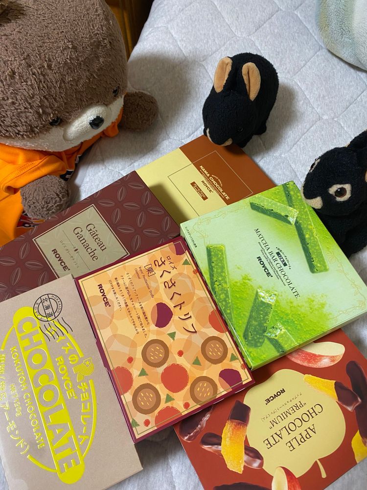 みなそんこんばんは、アマミンです。少し前の写真になりますが、おとうさんと東京ドームに行ってきました。アマミンはだいぶ関東に詳しくなってきました❣️
三枚目の写真は、今日届いたロイズのチョコです。カワミ先輩とフトちゃんが食べたそうにしていました。