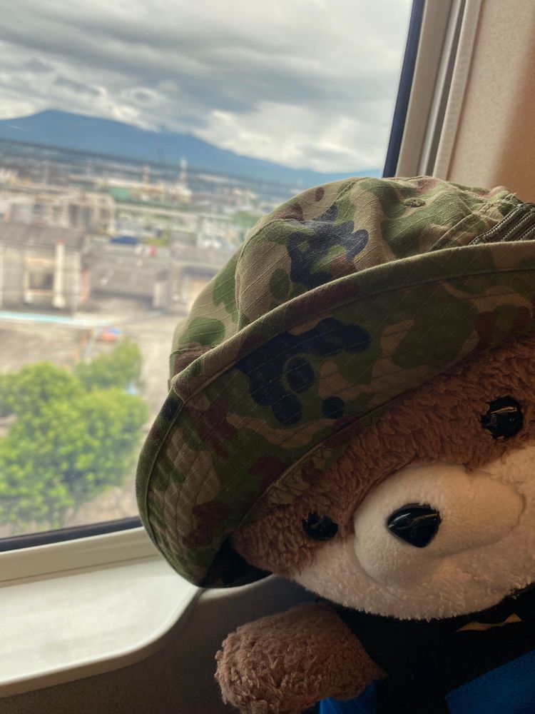 こんにちは、カワミちゃんだよ。今日からおかあさんの実家に帰るよ。京都駅も東京駅も凄い混雑だったよ…。二枚目の写真は見えにくいけど富士山だよ。今日は曇っててあまりよく見えなかったよ⛰️