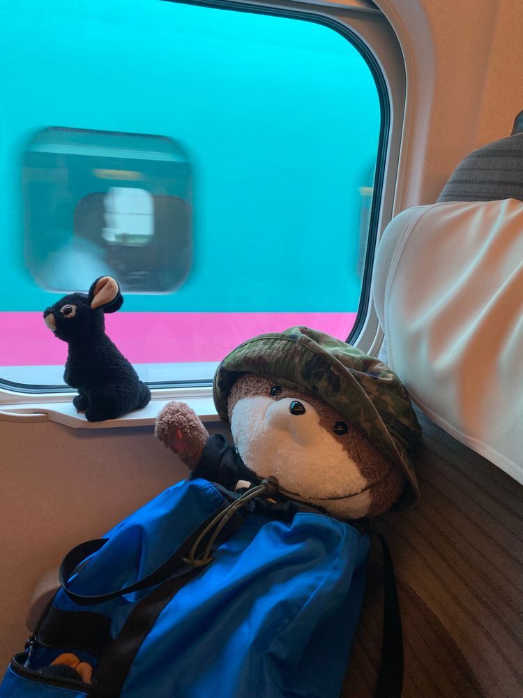 こんにちは、カワミちゃんだよ。今日からおかあさんの実家に帰るよ。京都駅も東京駅も凄い混雑だったよ…。二枚目の写真は見えにくいけど富士山だよ。今日は曇っててあまりよく見えなかったよ⛰️