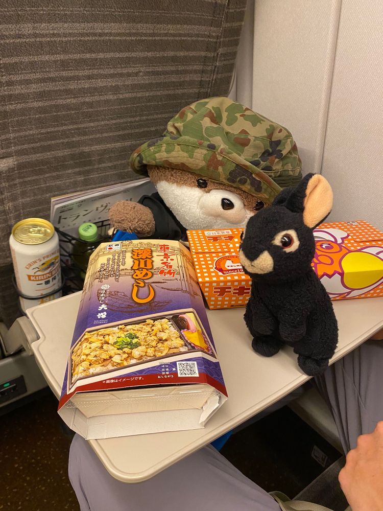 こんにちは、カワミちゃんだよ。今日からおかあさんの実家に帰るよ。京都駅も東京駅も凄い混雑だったよ…。二枚目の写真は見えにくいけど富士山だよ。今日は曇っててあまりよく見えなかったよ⛰️