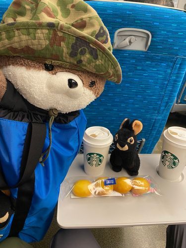 こんにちは、カワミちゃんだよ。今日からおかあさんの実家に帰るよ。京都駅も東京駅も凄い混雑だったよ…。二枚目の写真は見えにくいけど富士山だよ。今日は曇っててあまりよく見えなかったよ⛰️