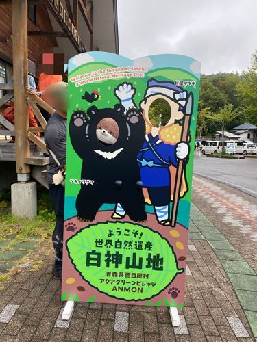カワミちゃんだよ。世界遺産白神山地に行って来たよ‼️熊の顔出しパネルがあったんだけど、ここは本当に出るらしいんだ…。熊肉が道の駅で売られたりしてるんだって。滝を見にハイキングコースを歩いたけど、幸い熊は出なかったけど猿は出たよ🐒
三枚目の写真は、白神山地に行く手前のダムだよ。ダム湖がめちゃくちゃ大きかったよ。天気のいい日は、水陸両用バスでダム湖を周遊するツアーがあるみたい。
四枚目の写真は、道の駅のモンベルで熊に遭遇したカワミちゃんだよ…。