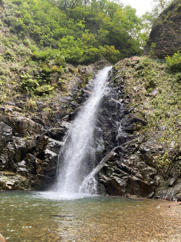 カワミちゃんだよ。世界遺産白神山地に行って来たよ‼️熊の顔出しパネルがあったんだけど、ここは本当に出るらしいんだ…。熊肉が道の駅で売られたりしてるんだって。滝を見にハイキングコースを歩いたけど、幸い熊は出なかったけど猿は出たよ🐒
三枚目の写真は、白神山地に行く手前のダムだよ。ダム湖がめちゃくちゃ大きかったよ。天気のいい日は、水陸両用バスでダム湖を周遊するツアーがあるみたい。
四枚目の写真は、道の駅のモンベルで熊に遭遇したカワミちゃんだよ…。
