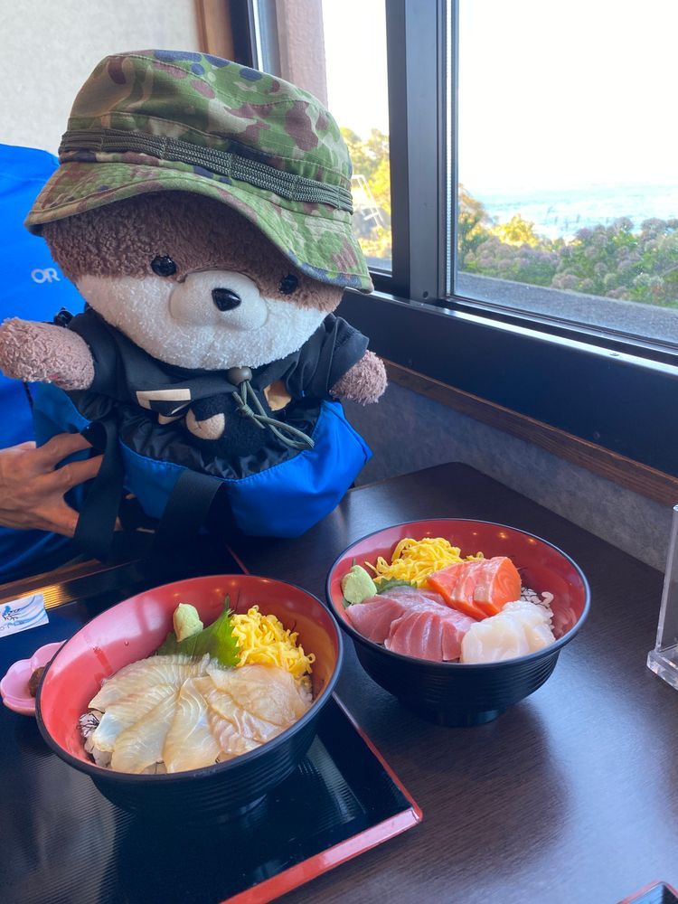 カワミちゃんだよ。津軽半島の竜飛岬に来たよ❣️海の向こうに見えている陸地は北海道だよ〜。この竜飛岬のすぐ下を北海道新幹線が走っているんだって🚄
海鮮丼も食べて満足したよ🐟