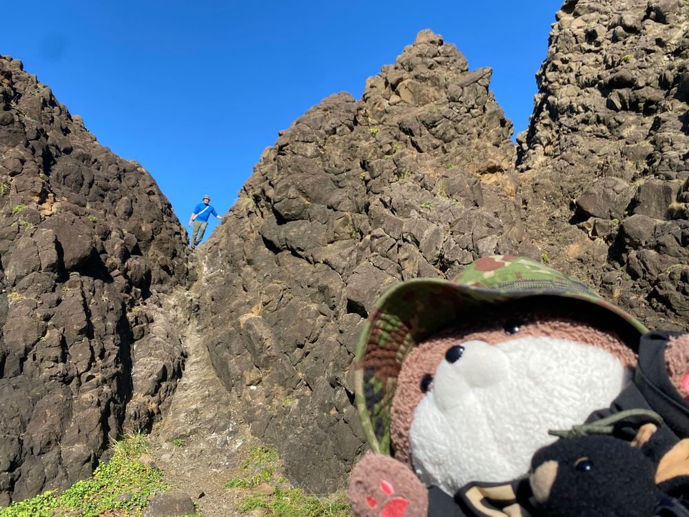 津軽半島その2だよ。
一枚目の写真は、岩木山とリンゴ園、二枚目の写真は北国にしか生えない『エゾニュウ』っていう気持ち悪い花だよ。三枚目は竜飛岬近くの岩山に登るおとうさんだよ。最後の写真は、幕末に吉田松陰が津軽半島に来た時に通った小道？だってさ。山口県からはるばる青森県に来るってすごいよね…