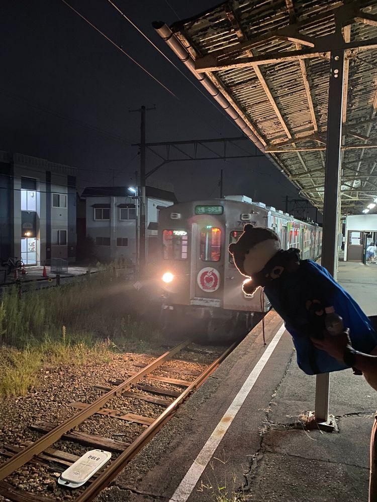今回も弘前市のかっこいい電車に乗ったよ🚃この電車、いろいろ工夫がしてあって大好きなんだけど、再来年の三月で運休になるんだって。寂しいなあ…😢