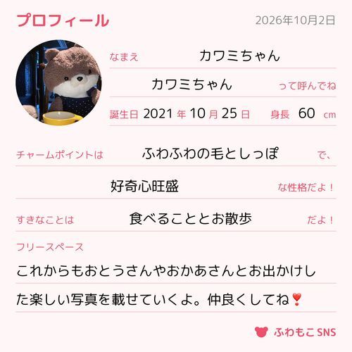カワミちゃんのプロフィールを作ったよ‼️