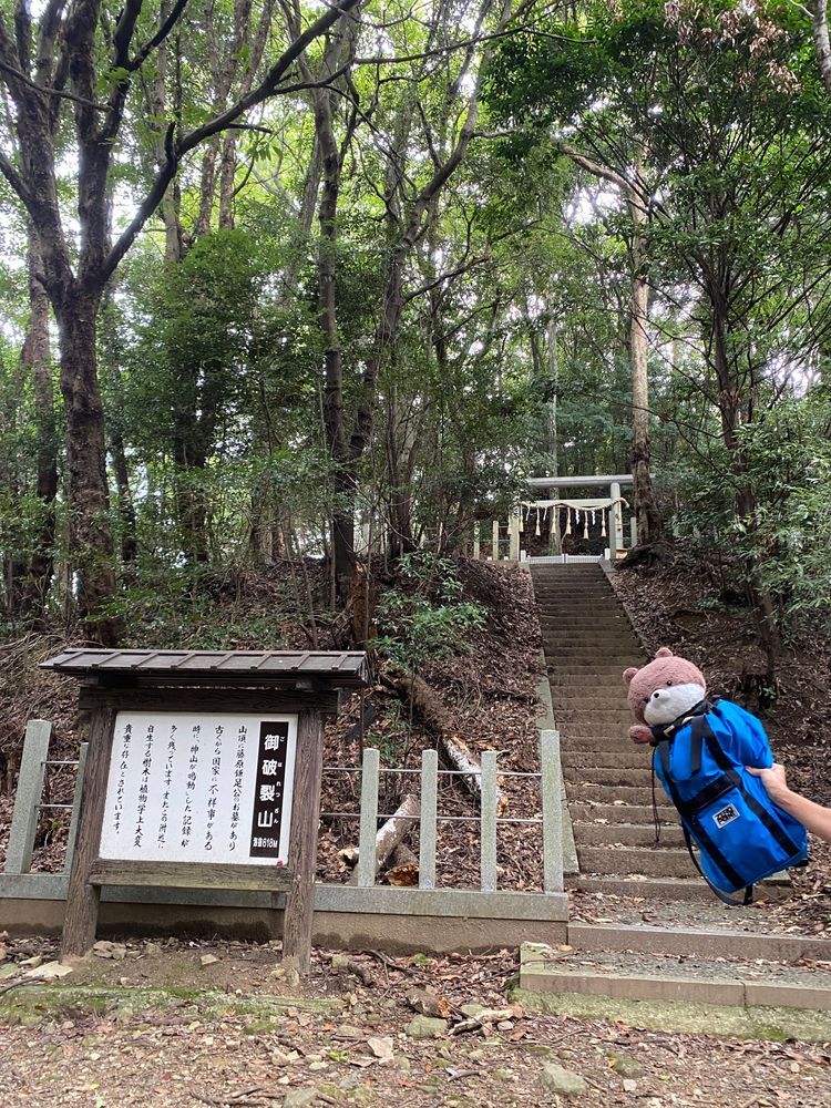 こんにちは、カワミちゃんだよ。今日は奈良県桜井市の談山神社に行ったよ。ここは中臣鎌足を祀ってあるんだって。山の上に、鎌足のお墓があったよ。
昼ご飯はおいしいハンバーグレストランに行ったよ🍽️