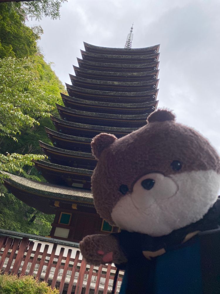 こんにちは、カワミちゃんだよ。今日は奈良県桜井市の談山神社に行ったよ。ここは中臣鎌足を祀ってあるんだって。山の上に、鎌足のお墓があったよ。
昼ご飯はおいしいハンバーグレストランに行ったよ🍽️