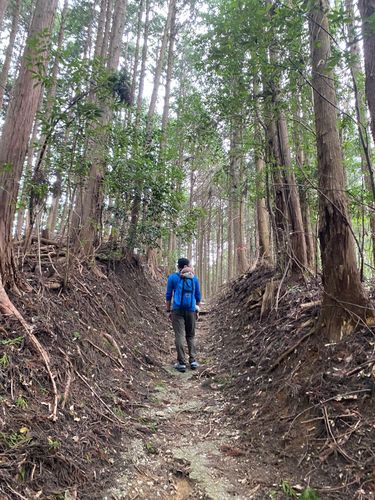 こんにちは、カワミちゃんだよ。今日は奈良県桜井市の談山神社に行ったよ。ここは中臣鎌足を祀ってあるんだって。山の上に、鎌足のお墓があったよ。
昼ご飯はおいしいハンバーグレストランに行ったよ🍽️