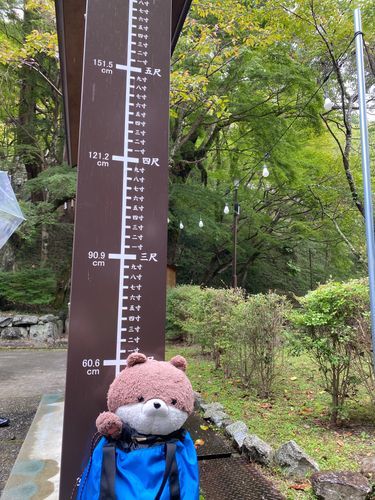 カワミちゃんだよ。昨日のお写真の続きだよ。神社の入口に、何故か身長を測る場所があったから測ってみたよ。やっぱり60センチ超えてるよ😆隣には烏骨鶏がいたよ。
最後の写真は昨日、近所のケーキおじさんが持って来てくれたケーキだよ🍰