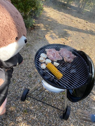 こんばんは、カワミちゃんだよ。今日はおとうさんのお友達が来てバーベキューをしたよ。一年前に買って放置してたアメリカ製のバーベキューコンロがやっと役に立つ時が来たよ😅アマミンとフトちゃんは最初コンロの上に乗って遊んでいたよ💦