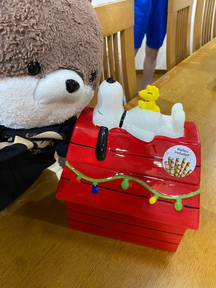 カワミちゃんのお誕生日会をしたよ❣️本当はあと２週間先なんだけど、その日おとうさんもおかあさんもお仕事だから急きょ今日やる事になったんだ。お肉をたくさん食べてお腹いっぱいになったよ。プレゼントはスヌーピーのクッキージャーを貰ったよ🍪