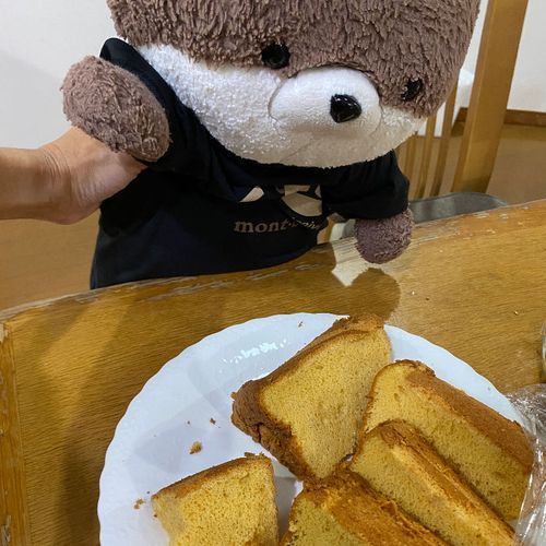 こんばんは、カワミちゃんだよ。
今日は帰ってきたら、おばあちゃんのお友達が焼いてくれたシフォンケーキがあったよ。めちゃおいしかったよ🤤
二枚目の写真は、今週の頭からおかあさんの出張に連行されていたカワミちゃんの哀れな姿だよ。苦しい〜〜😭