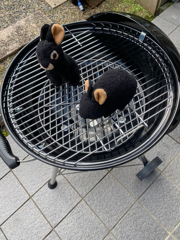 こんばんは、カワミちゃんだよ。今日はおとうさんのお友達が来てバーベキューをしたよ。一年前に買って放置してたアメリカ製のバーベキューコンロがやっと役に立つ時が来たよ😅アマミンとフトちゃんは最初コンロの上に乗って遊んでいたよ💦