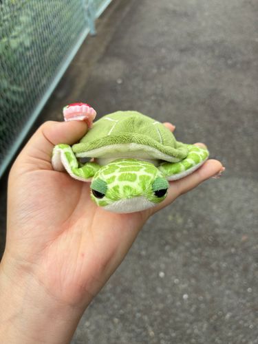 初外出