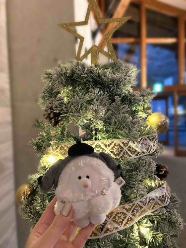 クリスマスだね！🎄🌟