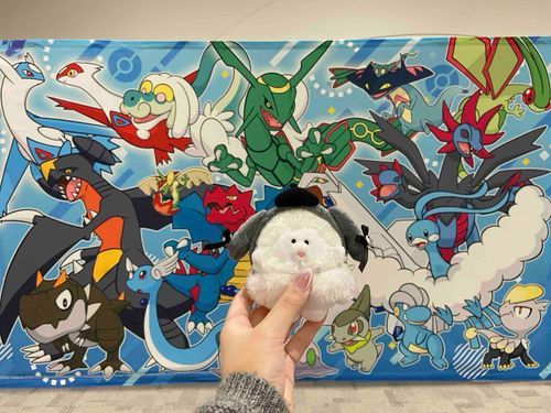 ドラゴンタイプのもくまる！！