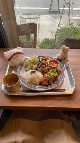 美味しいごはん！😽
