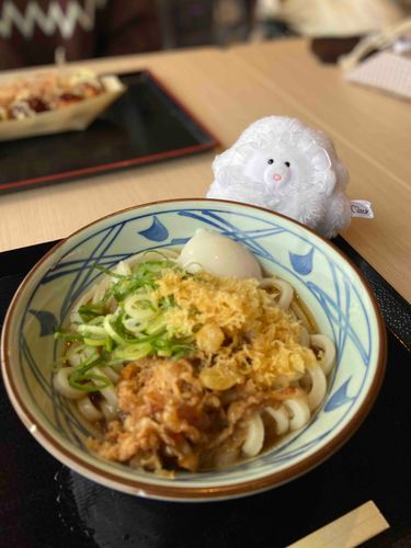 うどーーーん！