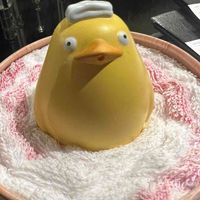 あるけみのなかまたち