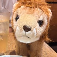 レオ(長男)