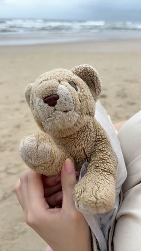 ホテルの前のビーチきたよ🏖
すごく青くてきれいな海でびっくりしちゃった！
外は30℃くらいあって、ジメジメしてなくてサバンナみたいに過ごしやすい！🦁ママに抱っこしてもらってお散歩するよ〜