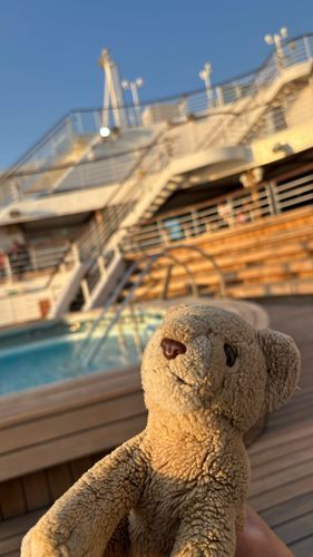 ちょこち、今日からクルーズ船の旅にでるよ！🌊🚢
初めての海と船たのしみ！旅の途中もたくさん写真撮るね🦁