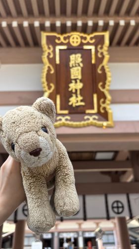 最初の寄港地は鹿児島だよ！🚢
ゆうめいな神社に行ってきたの
とっても神聖な雰囲気🦁✨️