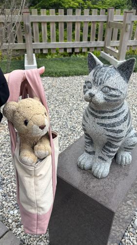 仙巌園(せんがんえん)っていうところにも行ってきたの！
中にはねこを祀る神社があったよ！
ねこはちょこちの仲間だよ🦁🐱