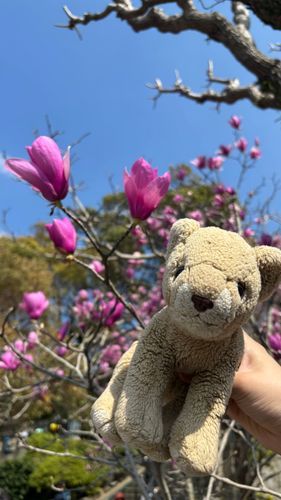 グラバー園のお花はどれも綺麗🌷´-
ちょこちもたかいたかーいしてもらったよ🦁✨️