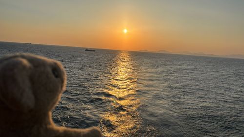 見てみてぇ〜！夕日がとっても綺麗だったよ🌅地平線ならぬ水平線！
360℃水平線って、クルーズ旅でしか見られない景色だね🚢