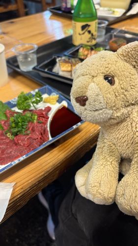 今日の寄港地は高知だよ🚢
有名なひろめ市場でお酒とおつまみ食べたよ🍶
らいおんの大好物、馬刺しも食べたよ〜🦁💕
写真に写ってないけど、ここの日本酒とカツオの藁焼きがすごく美味しかったの🐟パパはまた高知に藁焼き食べに来たいんだって！