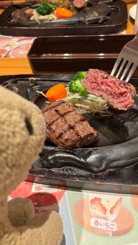最後の寄港地は静岡🚢！
ハンバーグで有名なさわやかに行ってきたよ！🍖
ちょこち好みの赤身のおにく、さいこー！🦁💕