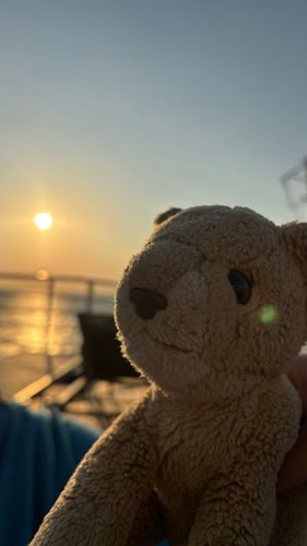 11日間のお船の旅がおわったよ🚢
ママ、パパたくさんバイトして連れてきてくれてありがとうね！学生が終わったらしばらく旅行できないみたい。ちょこちのいい思い出になった🦁