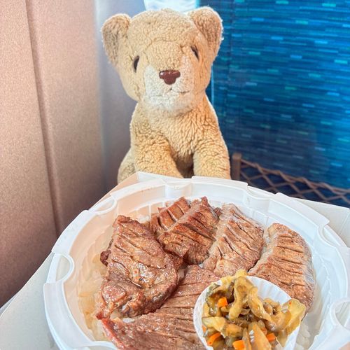 ちょこち、ママとパパと京都にお出かけするよ〜🚄きょうとの美味しいご飯たーくさん食べてくるから、みんなお写真まっててね🦁