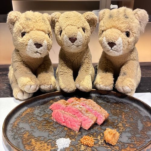 見てみてぇ〜！ちょこちの大好きなおにく🍖だよ！黒毛和牛🐃なんだって✨️
実は京都にいもうとたちも連れてきたの🦁この後紹介するね！