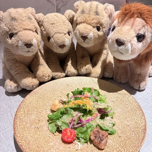 お次はサラダ🥗ソースに赤ワインが使われているんだって、さっぱりの中に濃厚で深い味を感じたよ🦁
京野菜の上にカラスミがたっぷりのってて美味しかった！