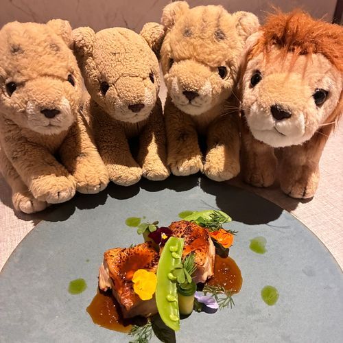 お肉のメインが来たよ！🍖
やっぱりちょこちたち、らいおんはお肉がだーいすきなの🦁💕
今回は丹波地鶏っていう京都の鶏さん🐓を食べたんだけど、柔らかくて、旨みたっぷりですごかった！
東京にいない鶏さんなのざんねんだな〜