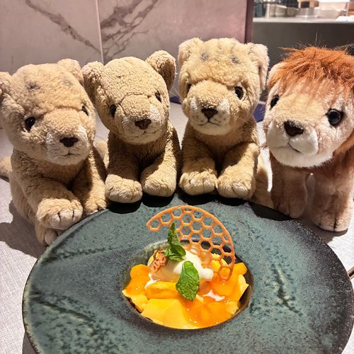 〆の釜飯のあとはデザートだよ！
今回はマンゴープリン🥭🍮
さっぱりと食べやすくて、お腹いっぱいだったけど別腹にはいっちゃった！全部のお料理が美味しい京都の夏コースだったよ🦁
