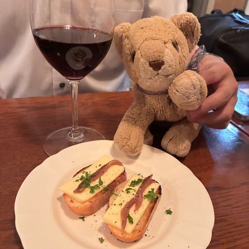 みんなやっほ〜！ちょこちだよ🦁ママとパパが忙しくてなかなか投稿できなかったよ〜
今日は宇都宮にきたよ！イタリアンで美味しいワイン🍷とアンチョビ🐟食べちゃう！
