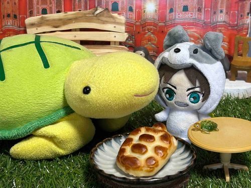 わんことかめさん🐶🐢🐢