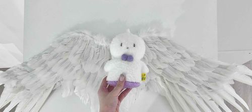 羽生えた🪶